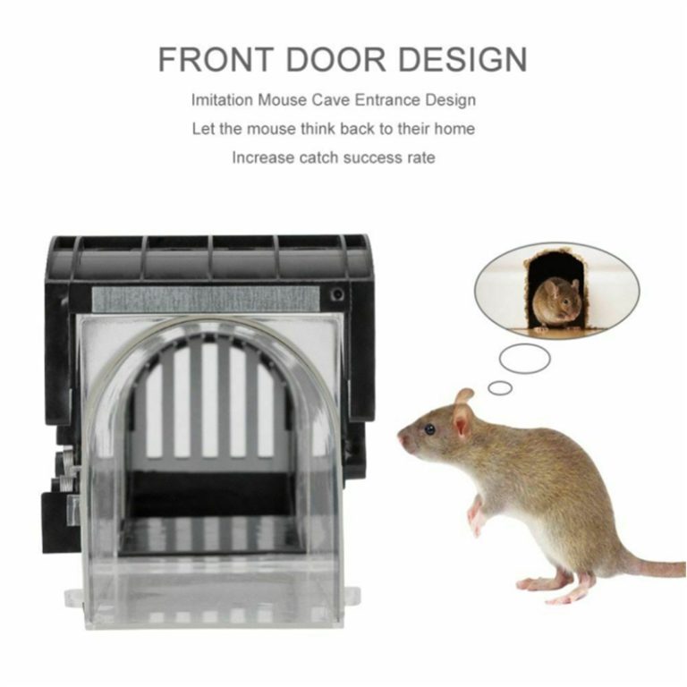 Humane Mouse Trap
