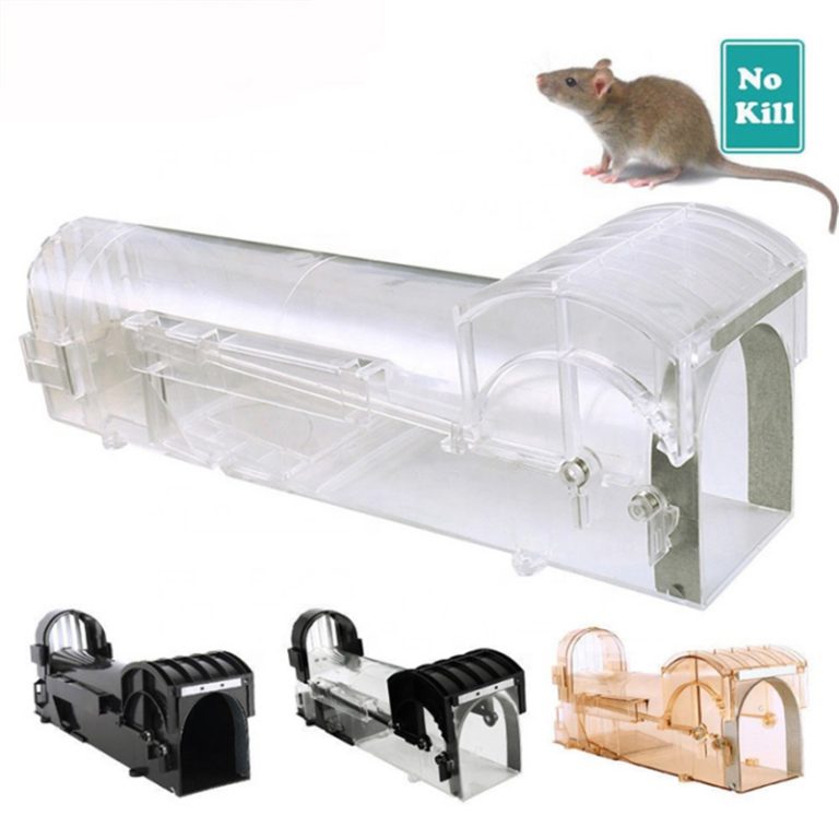 Humane Mouse Trap
