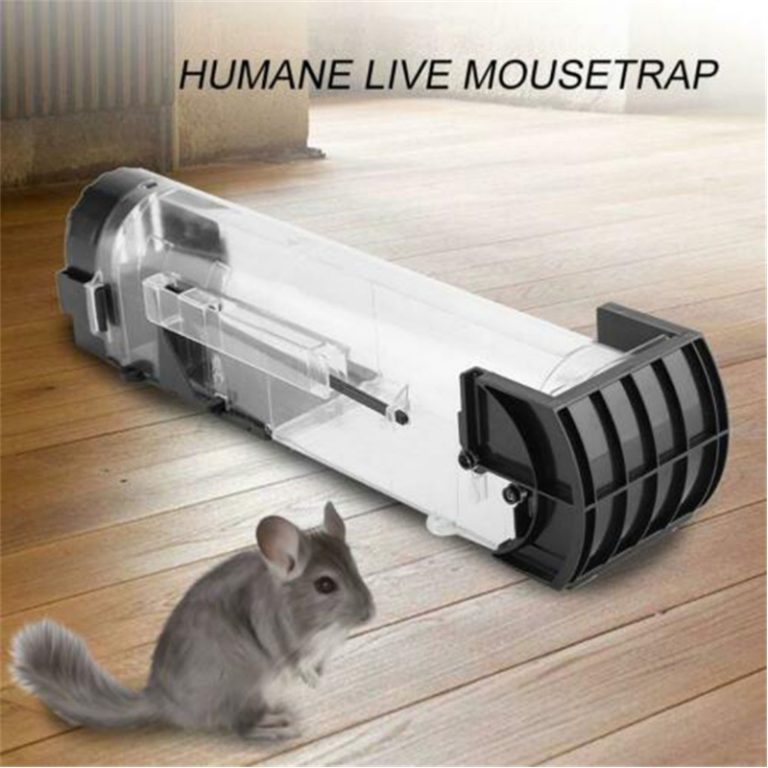 Humane Mouse Trap