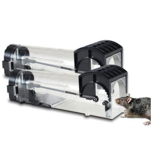 Humane Mouse Trap