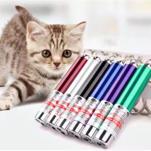 Cat Laser Toy