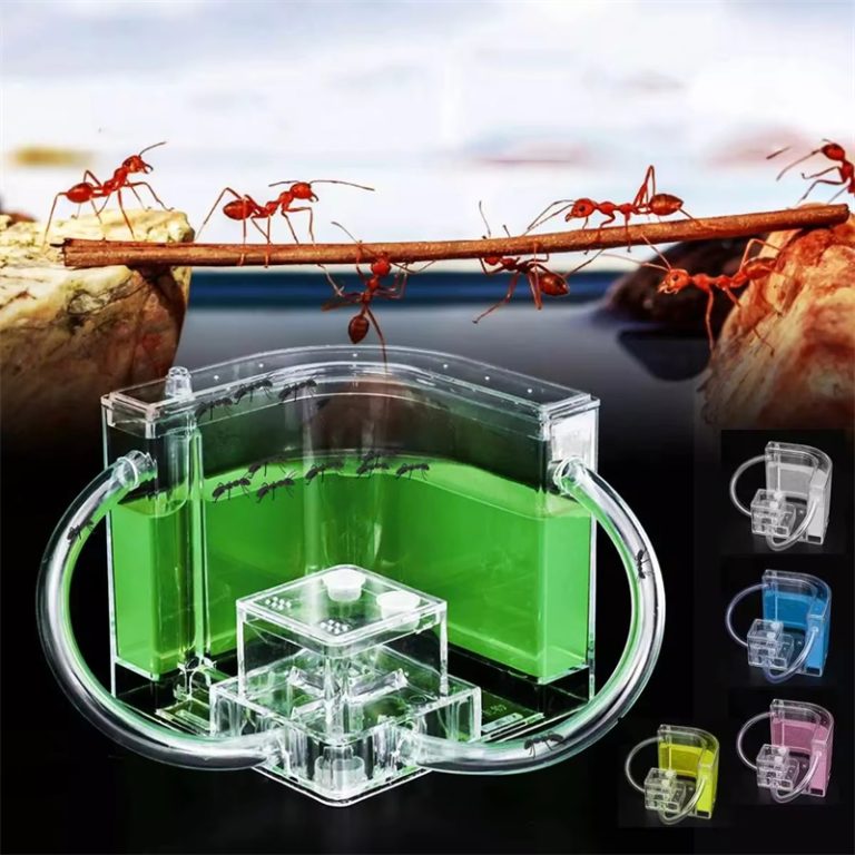 luminous Ant Nest Farm House