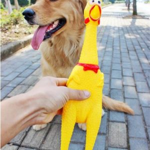 Dog Toy Screaming Chicken