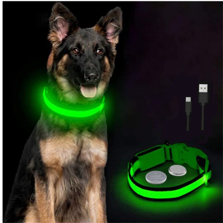 Electronic Pet LED Collar