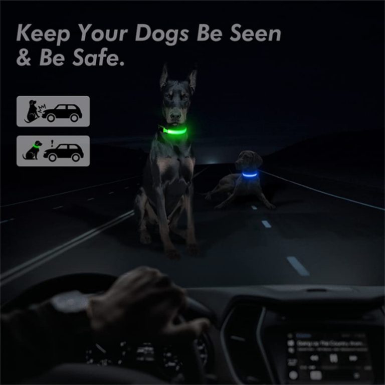 Electronic Pet LED Collar