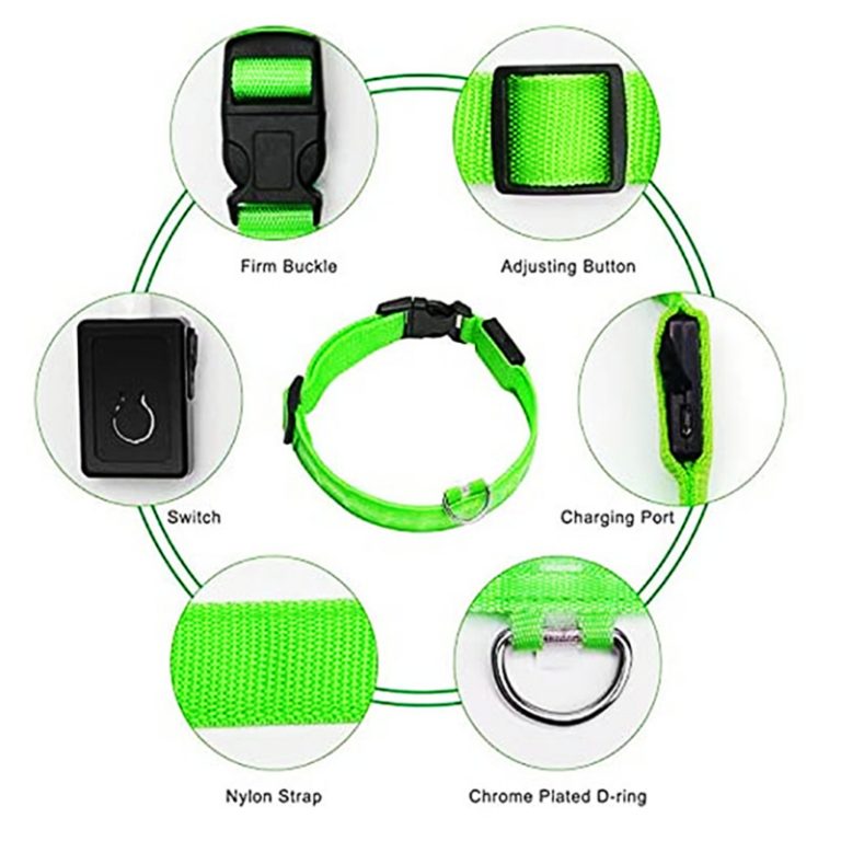 Electronic Pet LED Collar