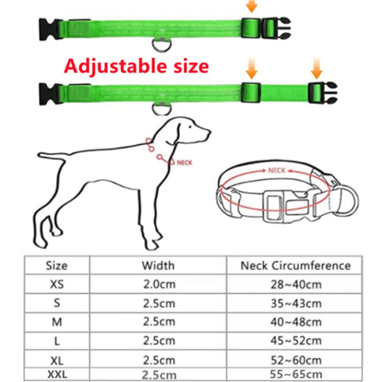 Electronic Pet LED Collar