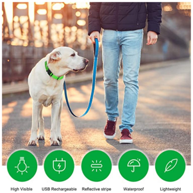 Electronic Pet LED Collar