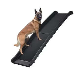 Folding Dog Ramp