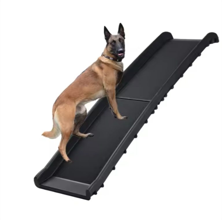 Folding Dog Ramp