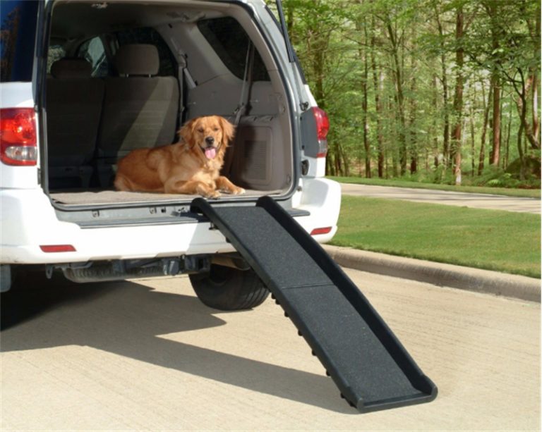 Folding Dog Ramp