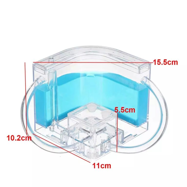 luminous Ant Nest Farm House