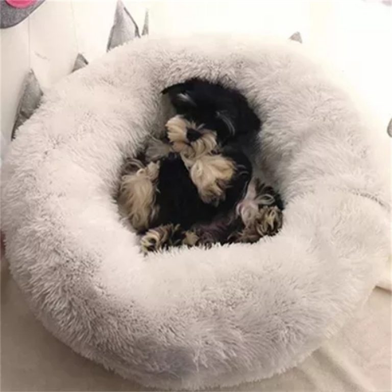 Portable Pet Bed