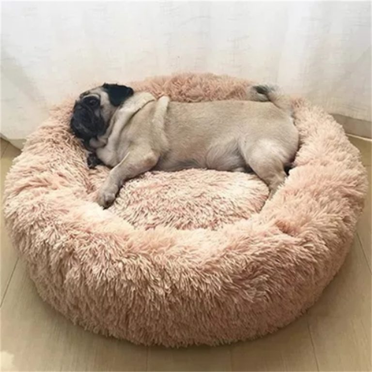 Portable Pet Bed
