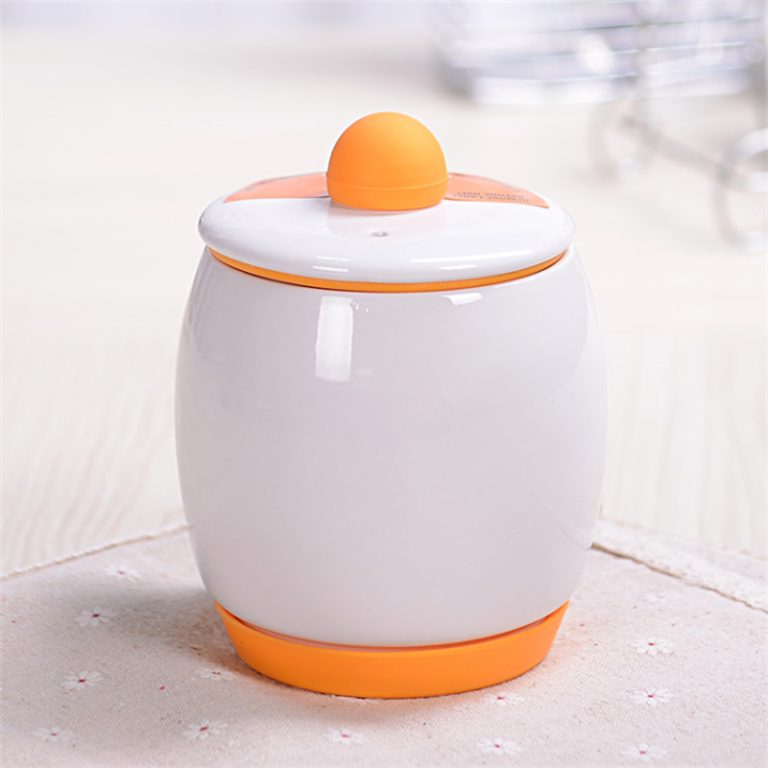Ceramic Egg Cooker