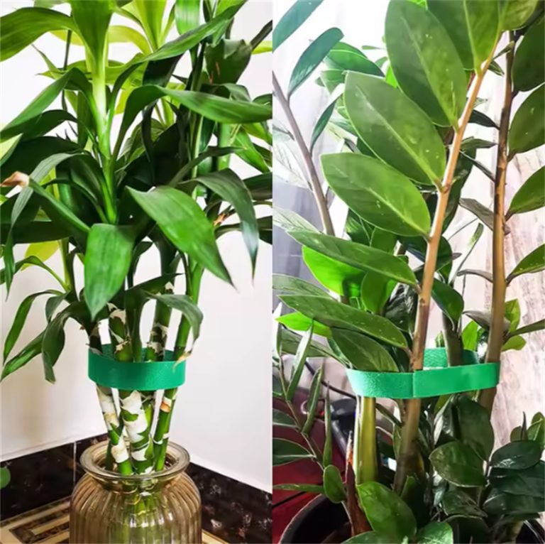 Plant Bundle Ties