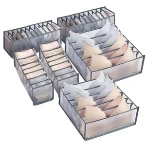 Modern Foldable Drawer Storage Box (Bra/Socks Organizer)