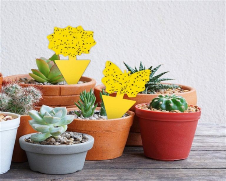 Garden Flying Insect Traps (Yellow Sticky Boards)