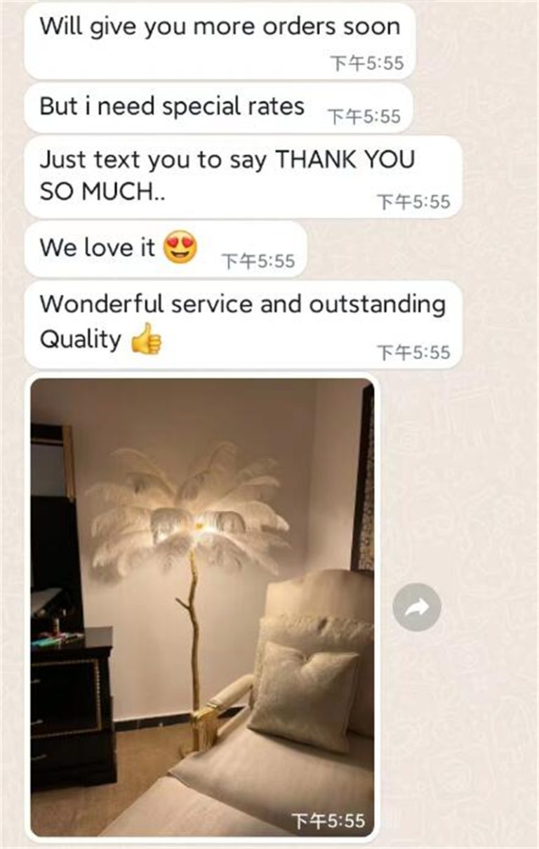 Modern Ostrich Feather Floor Lamp